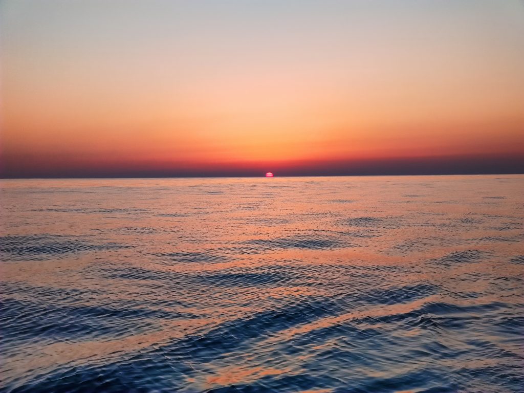 L’attribut alt de cette image est vide, son nom de fichier est IMG_20220324_192916-1-1024x768.jpg.